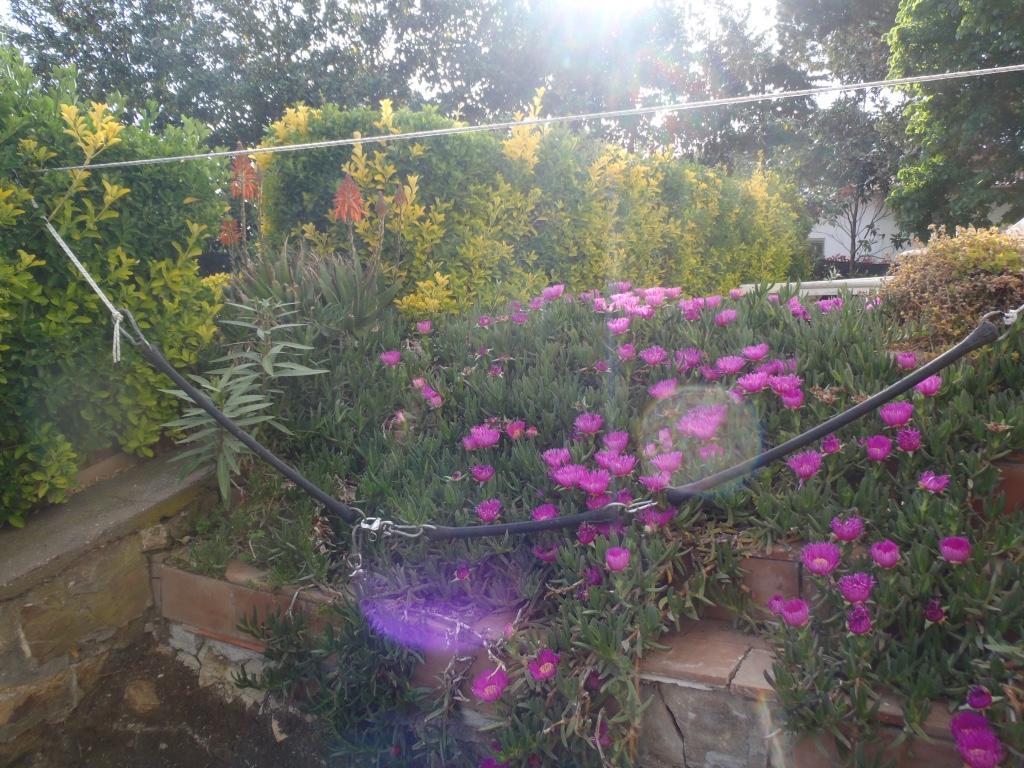 B&B Villa Sans Souci Civitavecchia Exterior photo